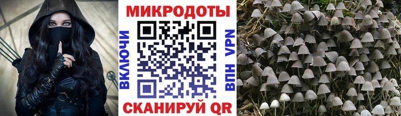 Галлюциногенные грибы Magic Shrooms  Купить  Великие Луки 